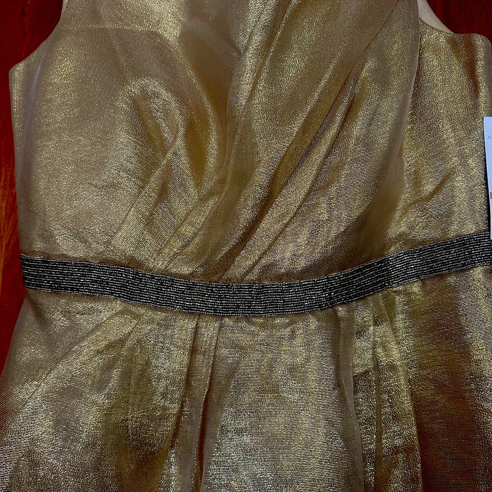 Metallic classy dress